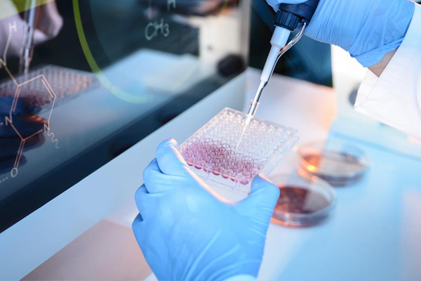 Cancer Research Rewa